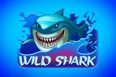 Wild Shark